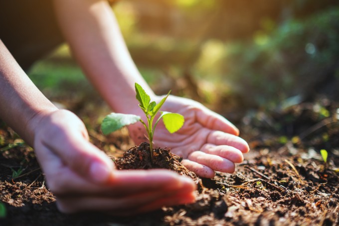 Biodigestores: funcionamento e vantagens 