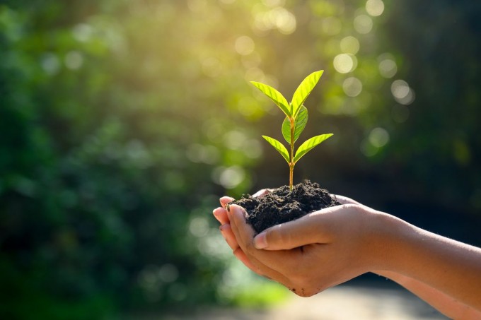 Biodigestores - Por que esses equipamentos são benéficos para o meio ambiente?