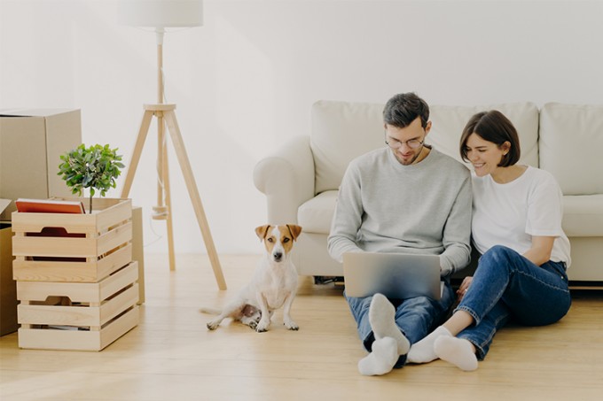 Aprenda como fazer e organizar o espaço do seu pet 